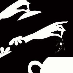 Fotoğraf Michel Pirus