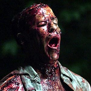 Fotoğraf Steve Miner