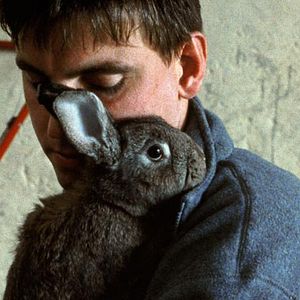 Fotoğraf Valeska Grisebach