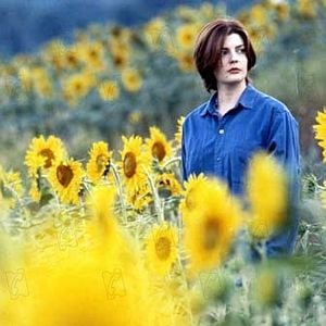 Fotoğraf Xavier Beauvois