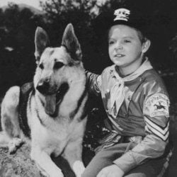 Fotoğraf The Adventures of Rin-Tin-Tin