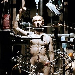 Fotoğraf Taxidermia