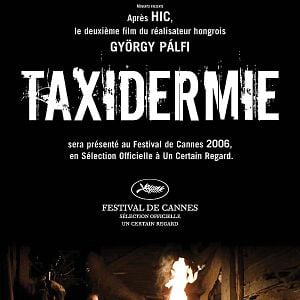 Fotoğraf Taxidermia