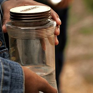 Fotoğraf Jane Campion
