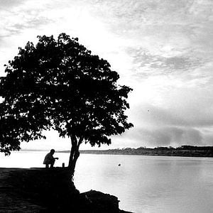 Fotoğraf Jane Campion