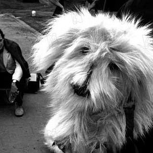 Fotoğraf Benoît Delépine