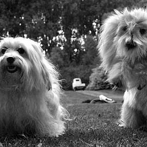 Fotoğraf Benoît Delépine