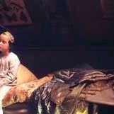 Fotoğraf Kaldırım Serçesi