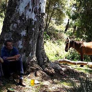 Fotoğraf Rachida Brakni