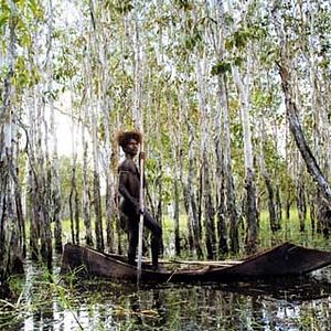 Fotoğraf Rolf De Heer