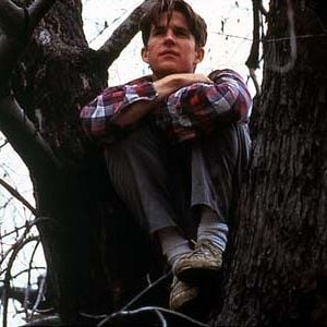 Fotoğraf Alan Parker