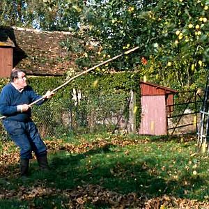 Fotoğraf Nicolas Philibert