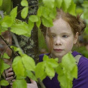 Fotoğraf Arkadaşım Tilki