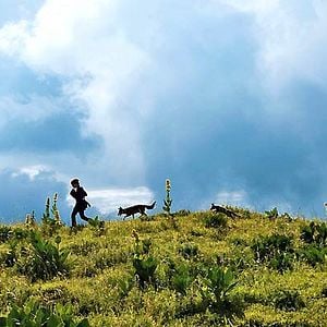 Fotoğraf Bertille Noël-Bruneau