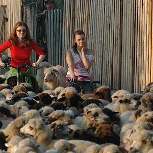 Fotoğraf Maria Popistasu