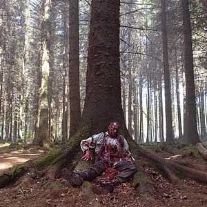 Fotoğraf M.J. Bassett