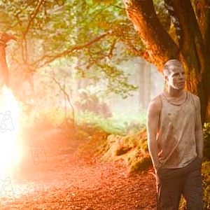 Fotoğraf M.J. Bassett