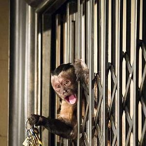 Fotoğraf Müzede Bir Gece