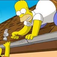 Fotoğraf David Silverman