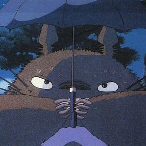 Fotoğraf Komşum Totoro