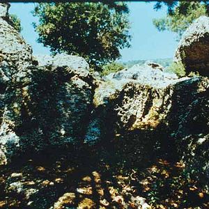 Fotoğraf Danièle Huillet