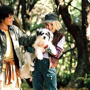 Fotoğraf Gábor Csupó