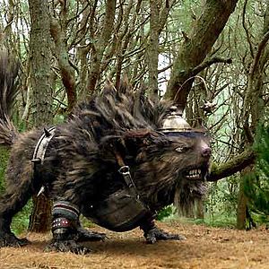 Fotoğraf Gábor Csupó