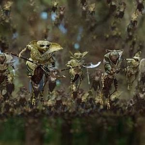 Fotoğraf Gábor Csupó