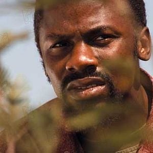 Fotoğraf Ateşin Ortasında