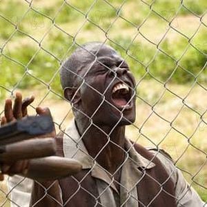 Fotoğraf Kanlı Elmas