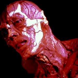 Fotoğraf Clive Barker