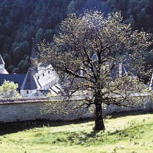 Fotoğraf Philip Gröning