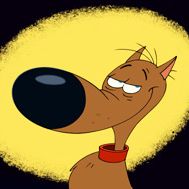 Fotoğraf Rantanplan