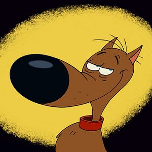 Fotoğraf Rantanplan