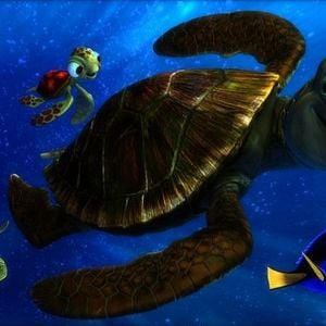 Fotoğraf Kayıp Balık Nemo 3D