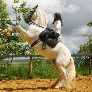 Fotoğraf Mathilde Seigner