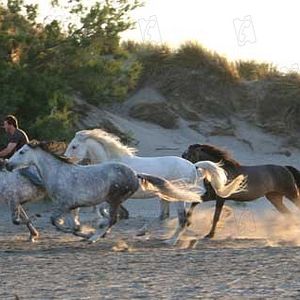 Fotoğraf Valérie Guignabodet