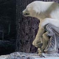 Fotoğraf Chris Weitz