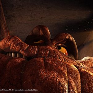 Fotoğraf Ejder Avcıları