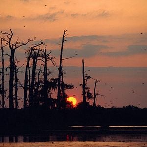 Fotoğraf Greg MacGillivray