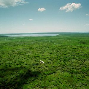 Fotoğraf Greg MacGillivray