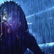 Fotoğraf Colin Strause