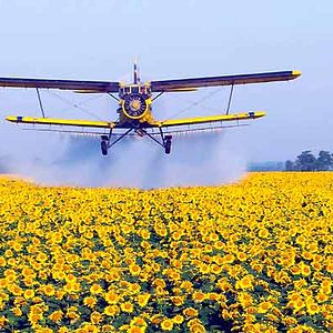 Fotoğraf Nikolaus Geyrhalter