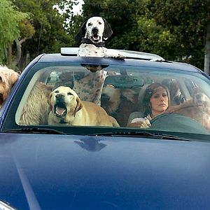 Fotoğraf Molly Shannon