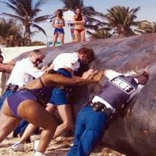 Fotoğraf Robert Ben Garant