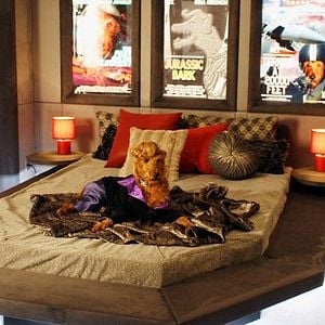 Fotoğraf Firehouse Dog