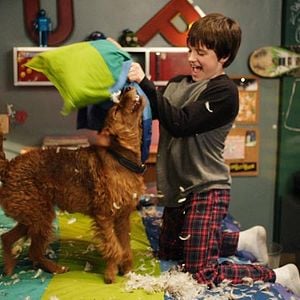 Fotoğraf Firehouse Dog