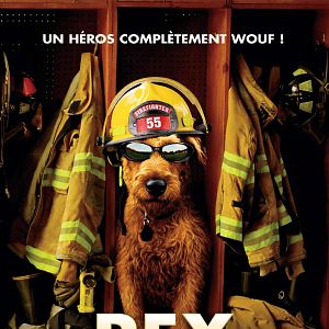 Fotoğraf Firehouse Dog