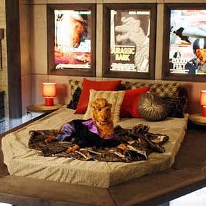 Fotoğraf Firehouse Dog