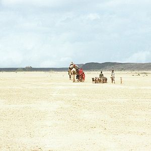 Fotoğraf Marion Hänsel